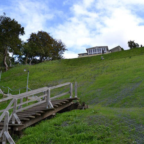 Große ECORASTER Grünfläche zur Hangbefestigung und seitlichem Aufgang einer Treppe