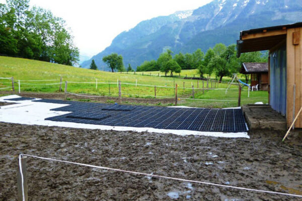 Paddock_02_800x500px