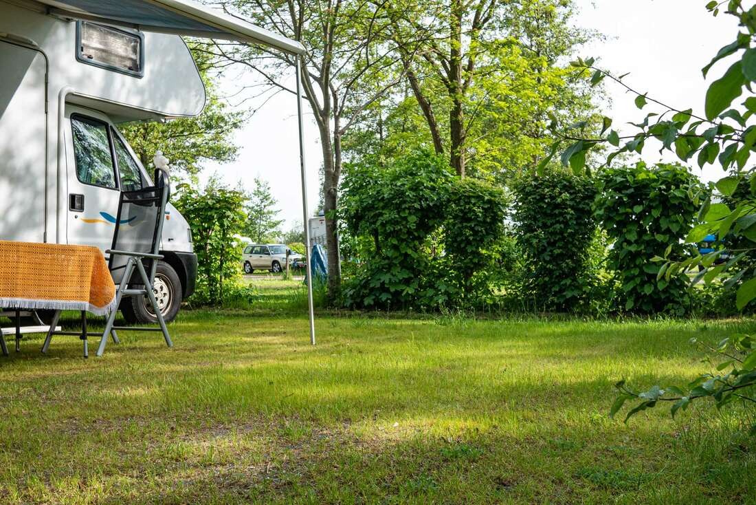Grüne Campingfläche mit Camper und Büschen umrahmt