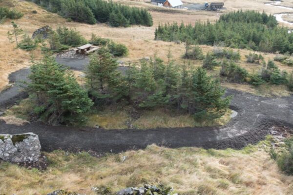 Ein mit ECORASTER befestigter Rundweg in Island umgeben von kleinen Bäumen und hellem Gras