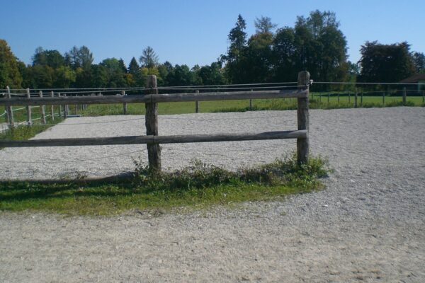 Paddock mit Holzzäunen und Bäumen im Hintergrund