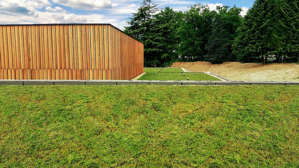 ECOgreen Dachbegrünung mit Blick auf ein Gebäude und Wald im Hintergrund