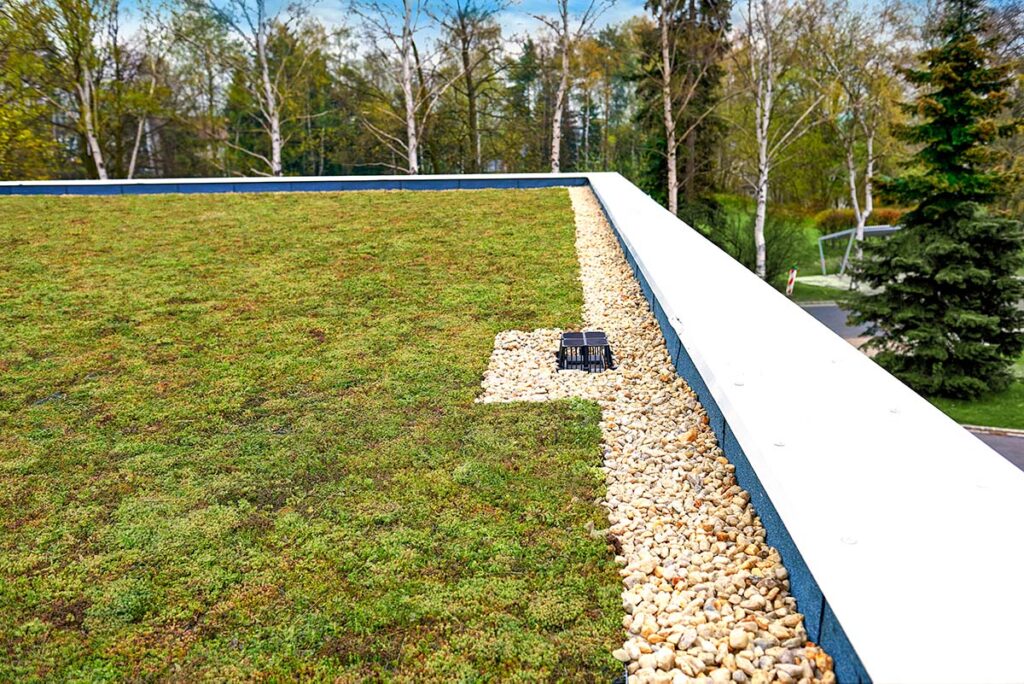 Dachbegrünung von PURUS mit Steinumrandung und Wald im Hintergrund