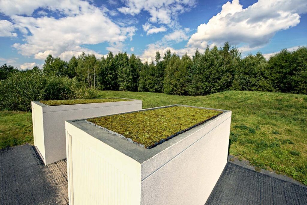 Dachbegrünung ECOgreen PACK auf zwei weißen privaten Garagen mit Wiese und Wald im Hintergrund
