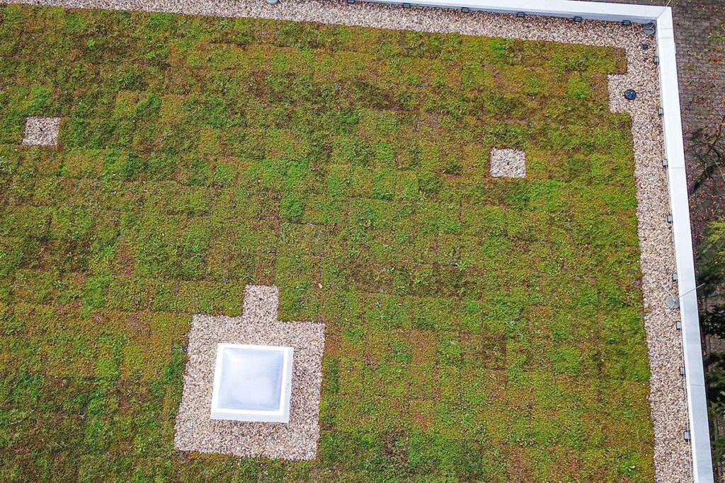 Blick von oben auf einen Ausschnitt der ECOgreen PACK Dachbegrünung der Kita Mainleus