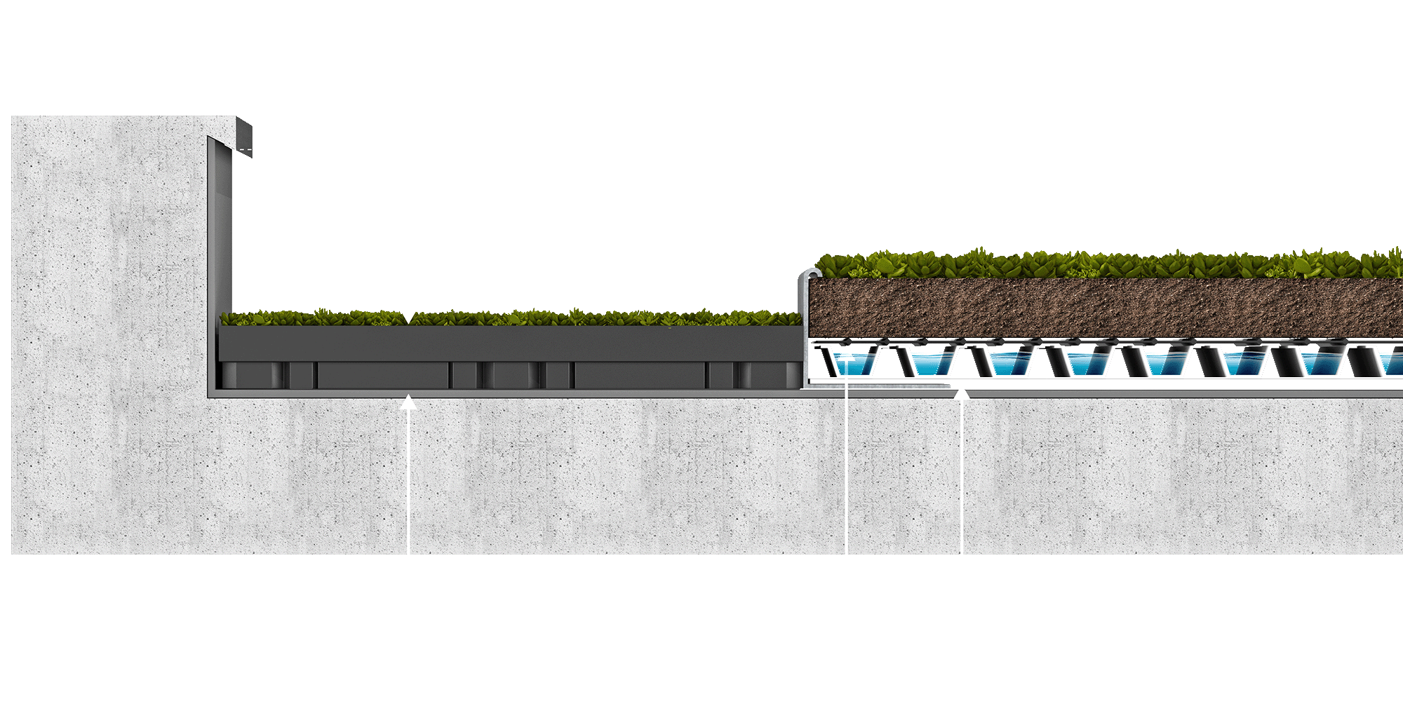 Grafische seitliche Darstellung der Kombination von ECOgreen PACK mit extensiver Dachbegrünujng auf einem Flachdach