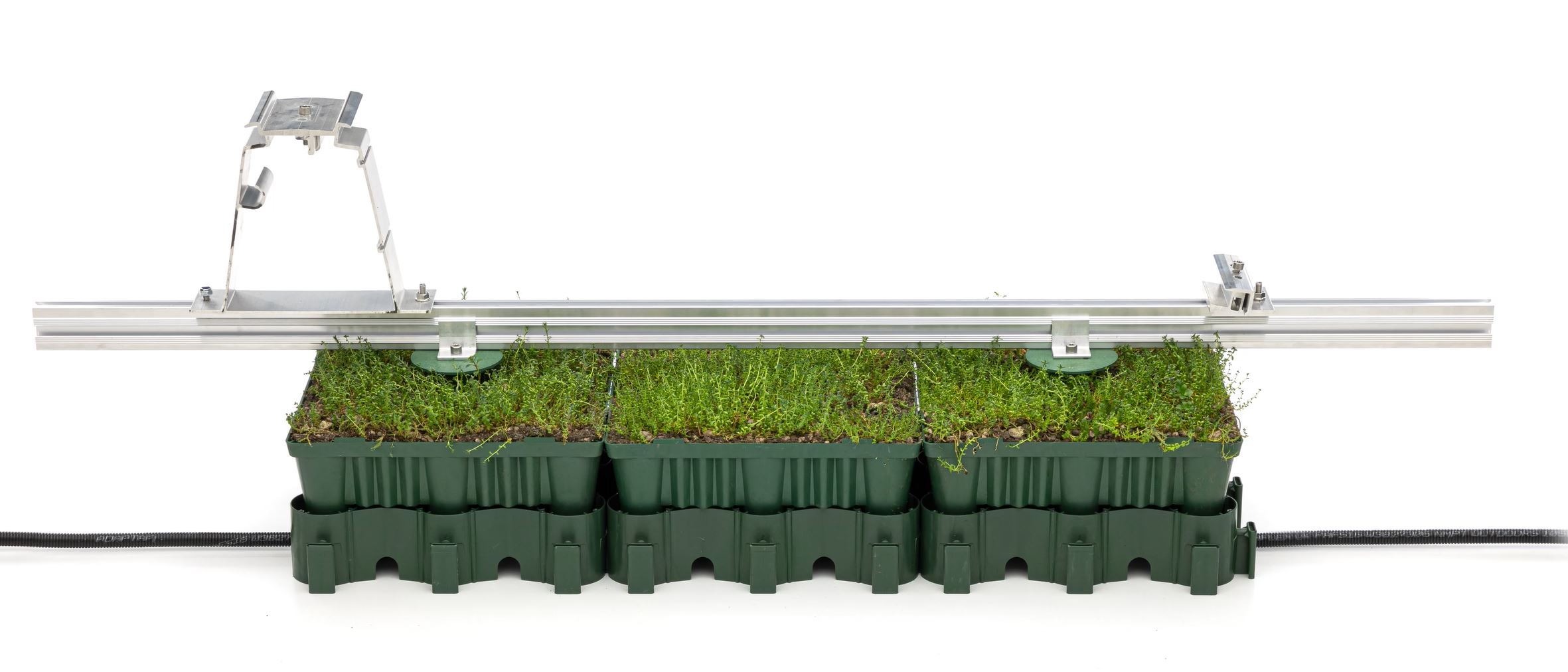 Drei begrünte ECOgreen System Module mit Schiene für PV Anlage